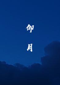 仰月纹图解