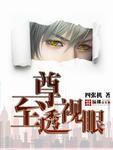 至尊透视王