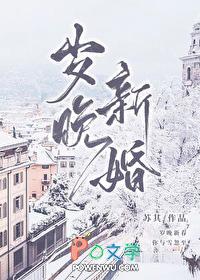 岁晚新婚by苏其番外