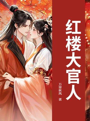 红楼梦大官人