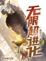 无限进化等级