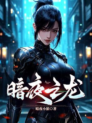 暗夜之眼